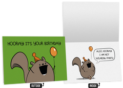 NSFW Birthday Greeting Card Bundle - 4 pack